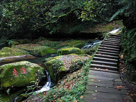 碧峰峽-風(fēng)景優(yōu)美.jpg