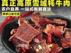 云南香格里拉牦牛肉干500g克麗江大理風(fēng)干手撕耗牛肉干巴特產(chǎn)